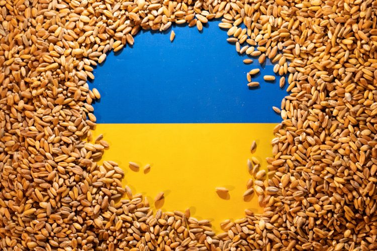 Владимир Пребирачевић: Извоз украјинских житарица није смањен, него повећан!